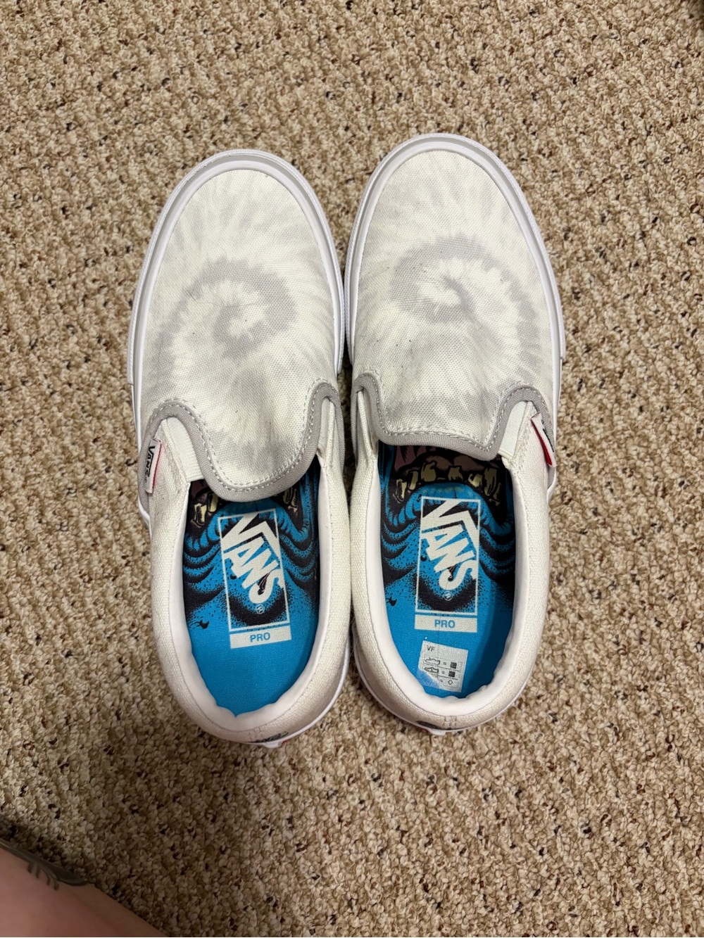 Santa Cruz slip on vans
